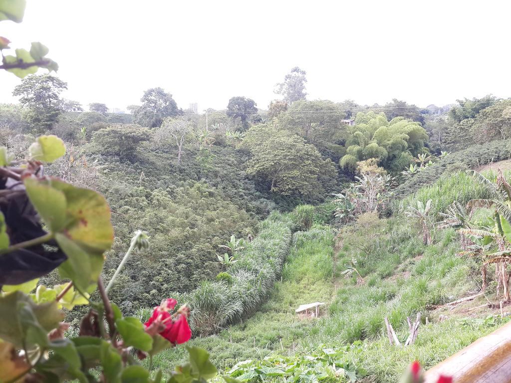 Finca El Diamante Villa Calarcá Dış mekan fotoğraf
