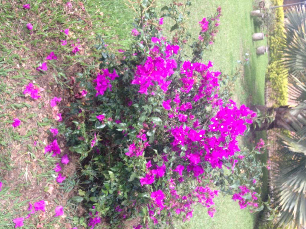 Finca El Diamante Villa Calarcá Dış mekan fotoğraf