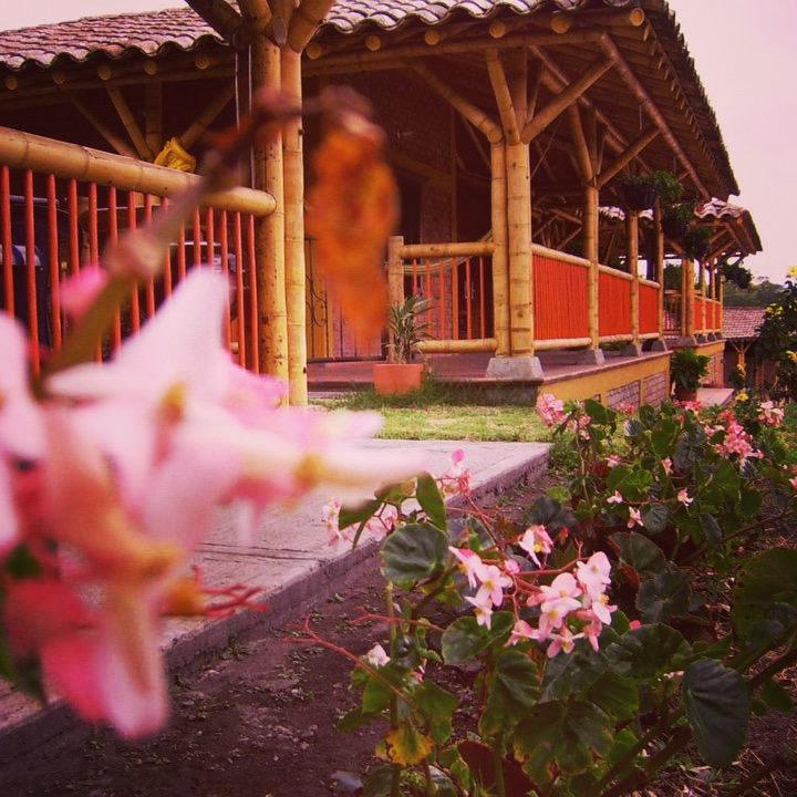 Finca El Diamante Villa Calarcá Dış mekan fotoğraf