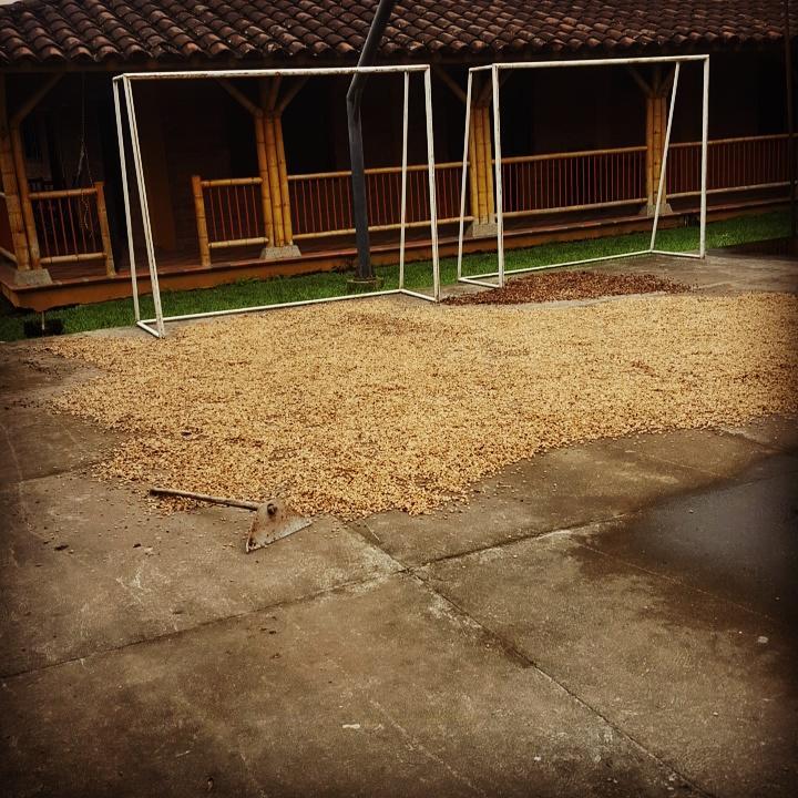 Finca El Diamante Villa Calarcá Dış mekan fotoğraf