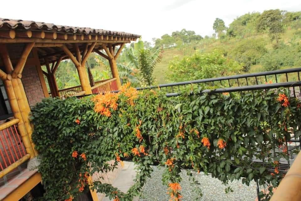 Finca El Diamante Villa Calarcá Dış mekan fotoğraf