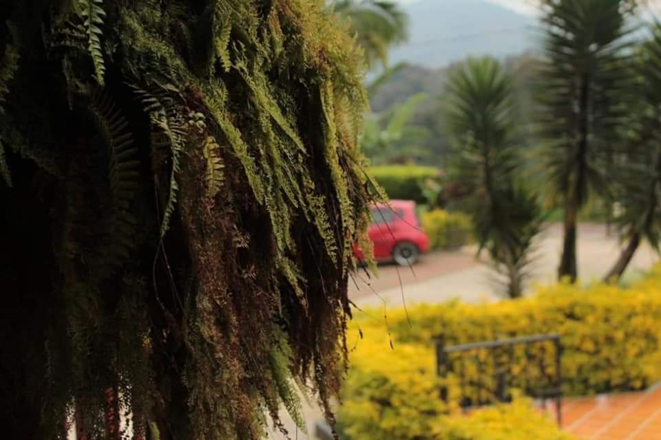 Finca El Diamante Villa Calarcá Dış mekan fotoğraf